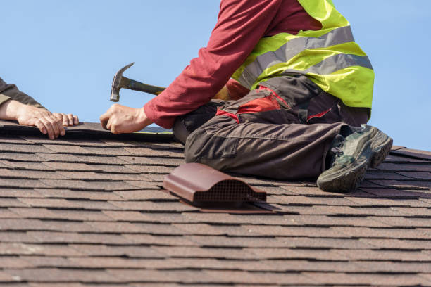 Best Roof Leak Repair  in Savanna, IL