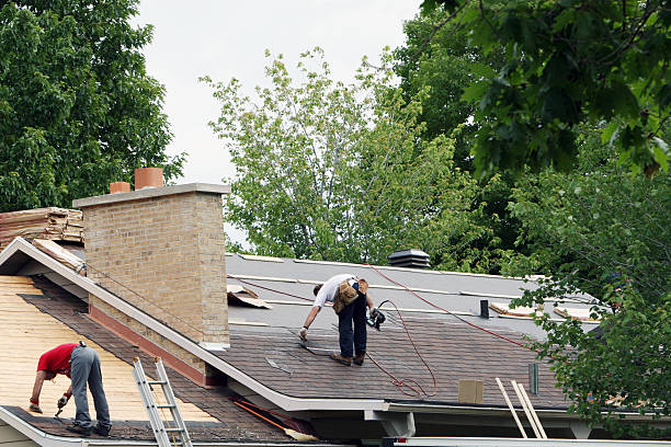 Best New Roof Installation  in Savanna, IL